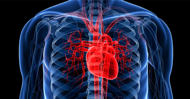 Передозировка сердечными гликозидами